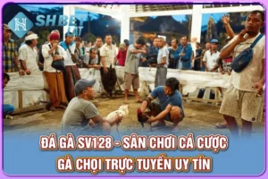 Đá Gà SV128 - Sân Chơi Cá Cược Gà Chọi Trực Tuyến Uy Tín