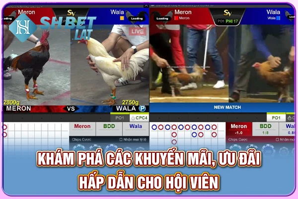 Khám phá các khuyến mãi, ưu đãi hấp dẫn cho hội viên Khám phá các khuyến mãi, ưu đãi hấp dẫn cho hội viên