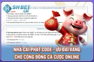 Nhà Cái Phát Code - Ưu Đãi Vàng Cho Dân Cá Cược Online