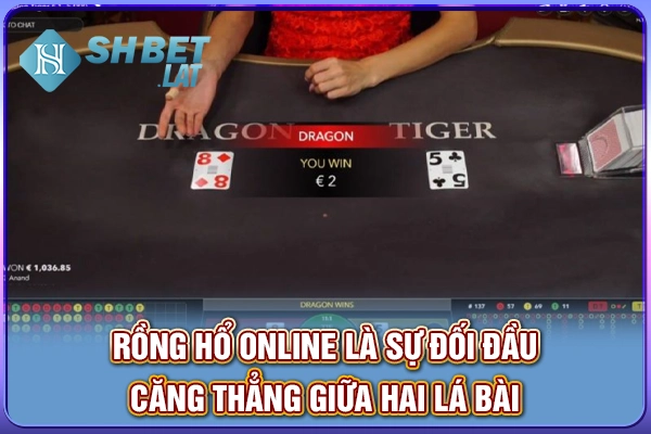 Rồng hổ online là sự đối đầu căng thẳng giữa hai lá bài Rồng hổ online là sự đối đầu căng thẳng giữa hai lá bài